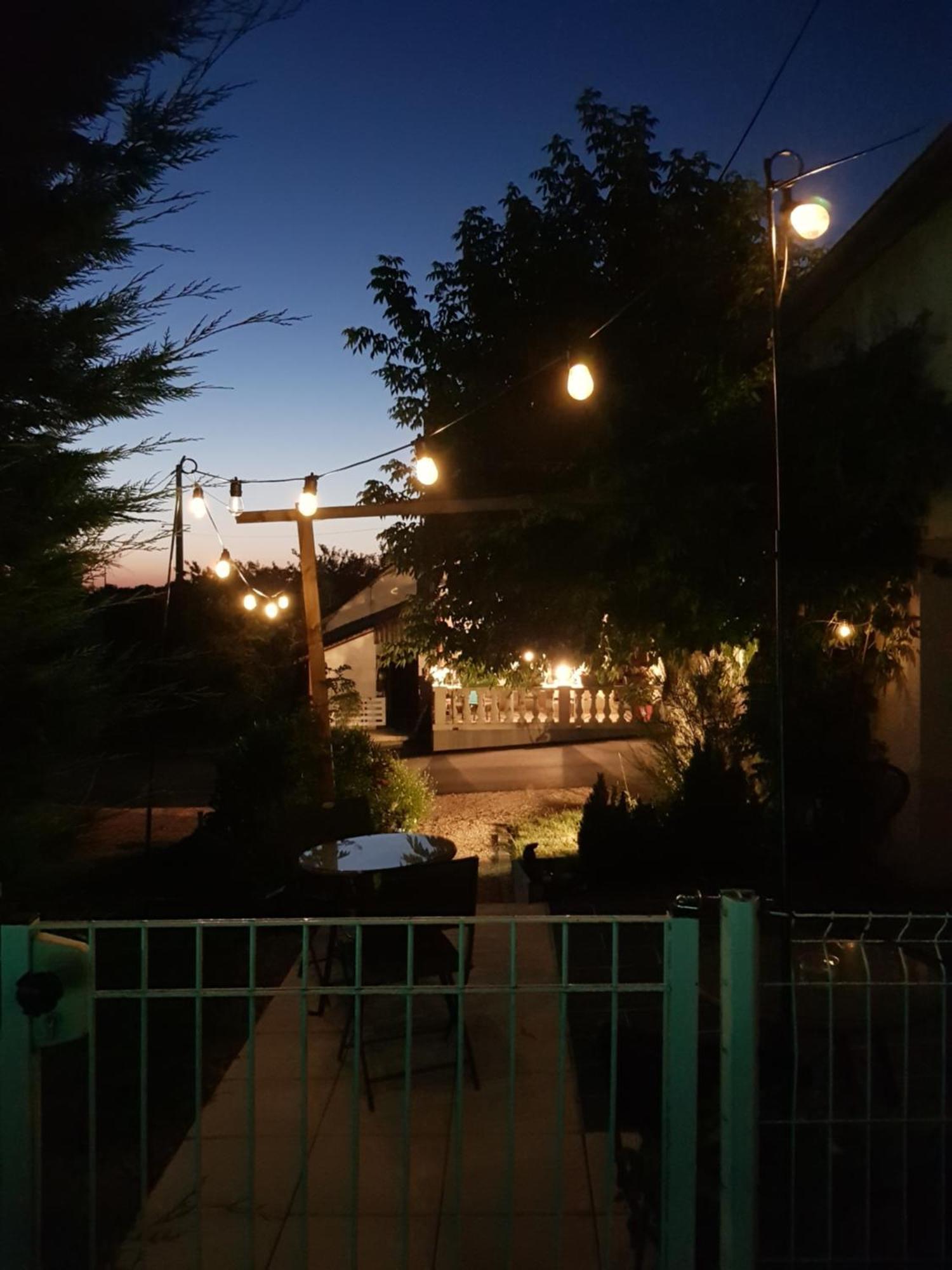 Chambres D Hotes De La Mauguiniere Neuillé-le-Lierre Exterior foto